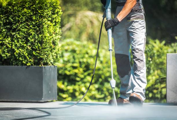 Best Paint Preparation  in Duvall, WA