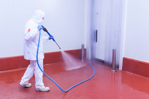 Duvall, WA Pressure Washing Services Company