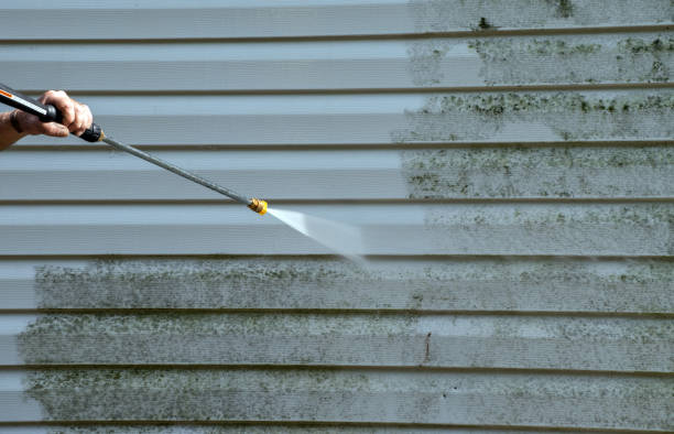 Best Patio and Deck Pressure Washing  in Duvall, WA