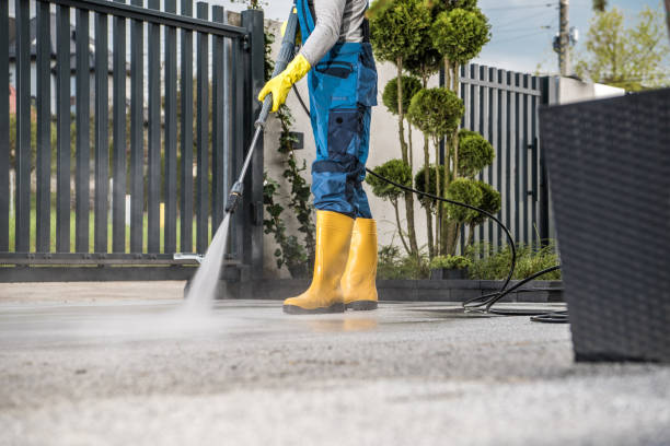Best Dumpster Area Cleaning  in Duvall, WA