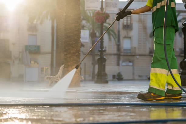 Boat and Dock Cleaning in Duvall, WA